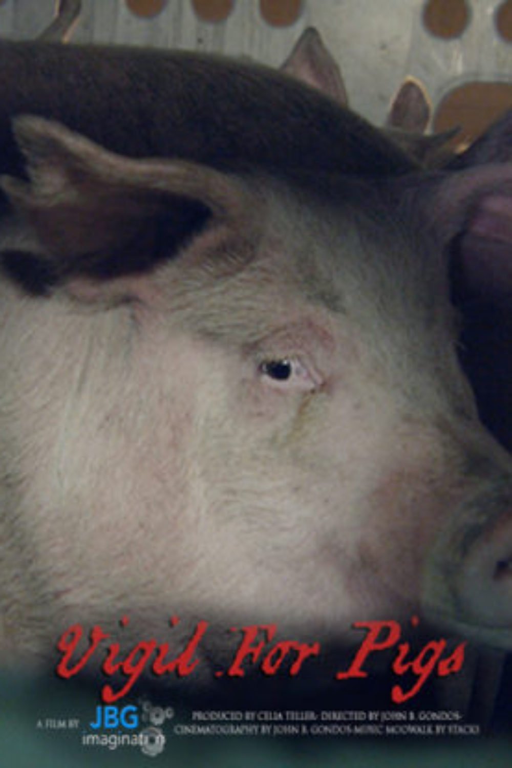 pigs poster 2